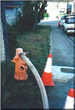 Fire Hydrant Blocked off by Traffic Cones
