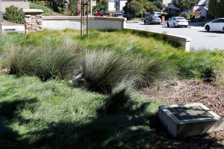 Bioretention Area Located at Christopher Highlands - Crestview Estates