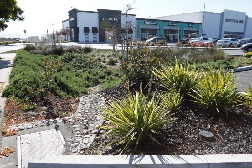 Bioretention Area Located at the Serramonte Shopping Center