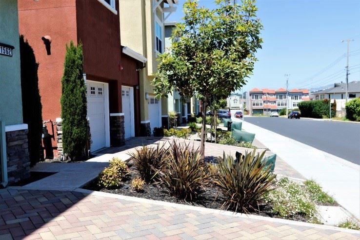 Bioretention Area Located at Annie Street Subdivision