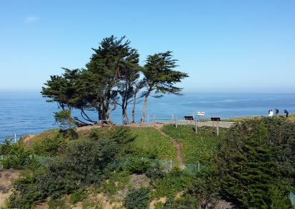 Thornton Beach Vista