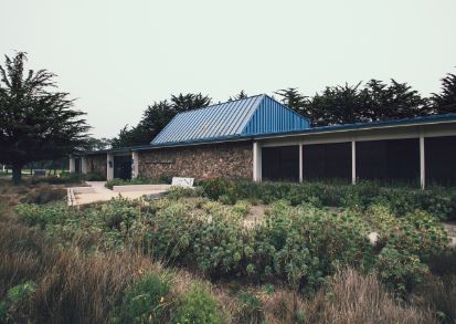 Library Exterior Landscaping