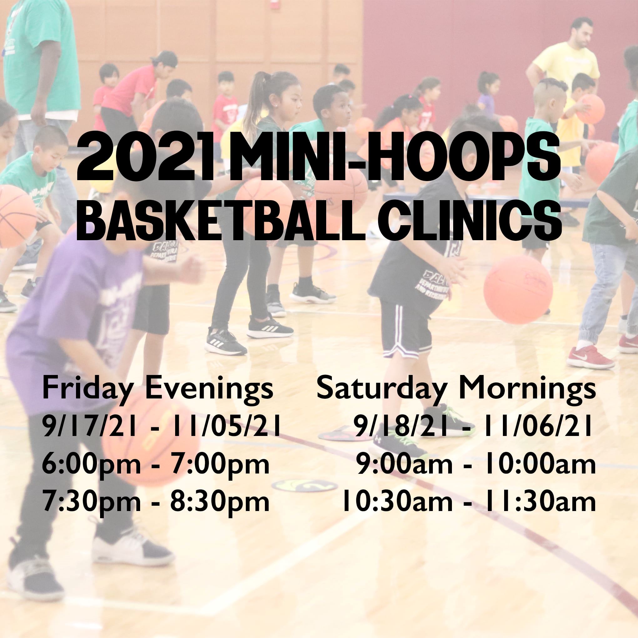 Image of Mini Hoops Ad
