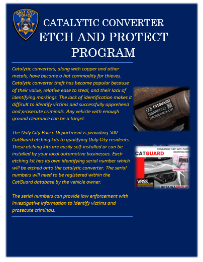 Cat Converter Etch and Protect Program flyer