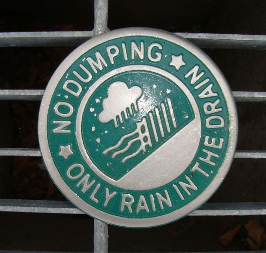 Storm Drain Medallion