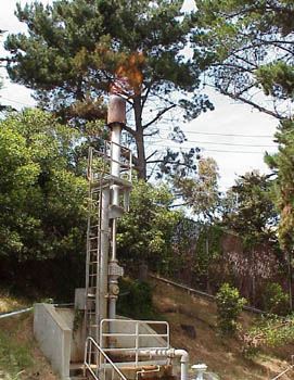 Electricity Generator and Gas Flare