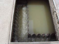 Primary Effluent Pump