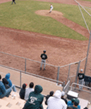 People Playing Softball